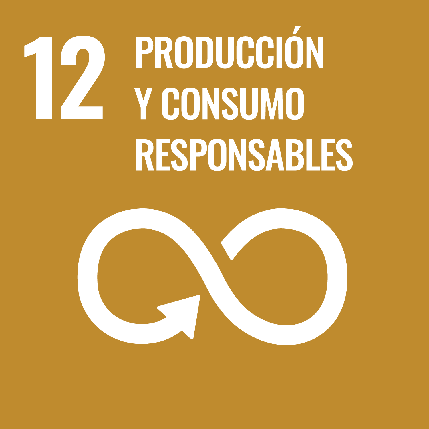 Objetivo de Desarrollo Sostenible 12: Producción y consumo responsables
