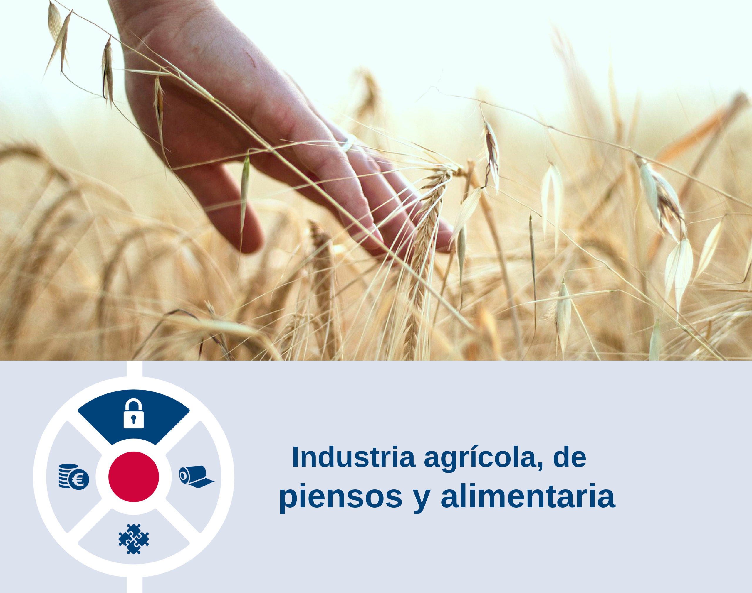 Industria agrícola, de piensos y alimentaria